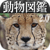 動く！動物図鑑 アイコン